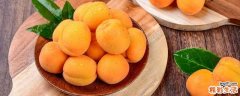杏子一天吃多少为宜 杏子吃多了会怎样