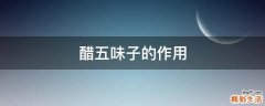 醋五味子的作用