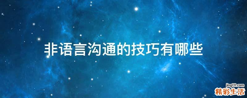 非语言沟通的技巧有哪些