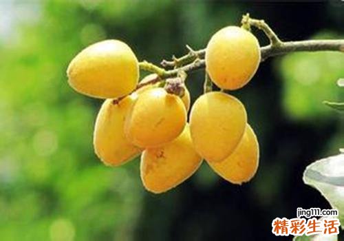 黄皮果的功效与作用
