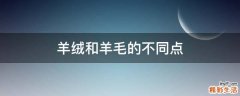 羊绒和羊毛的不同点