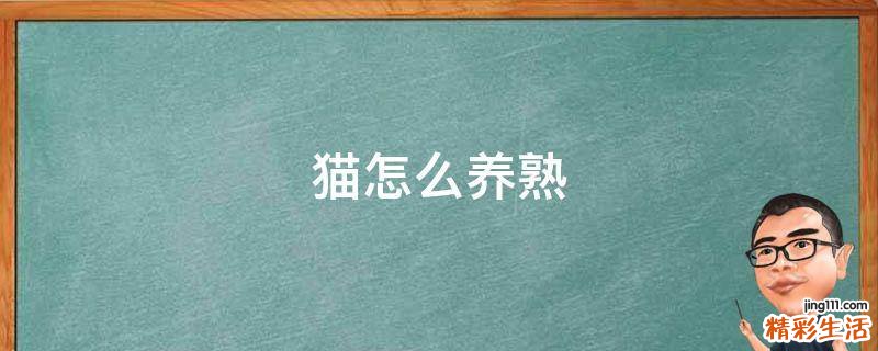 猫怎么养熟