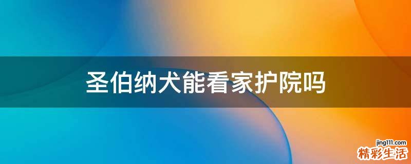 圣伯纳犬能看家护院吗