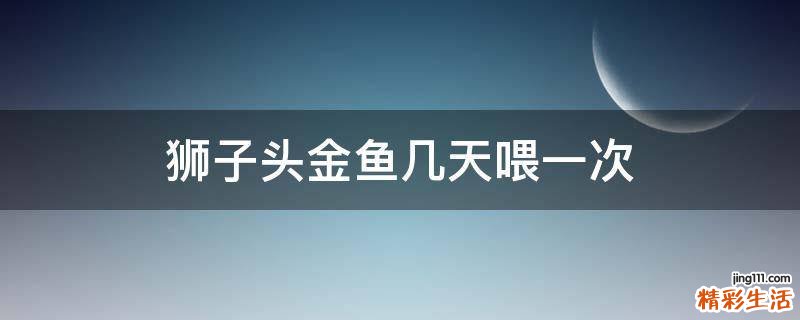 狮子头金鱼几天喂一次