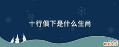 十行俱下是什么生肖
