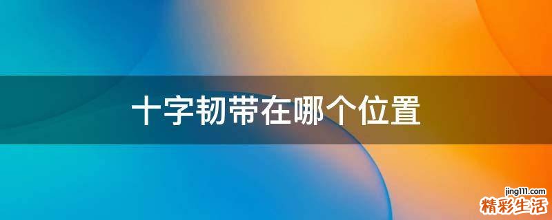 十字韧带在哪个位置