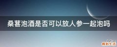 桑葚泡酒是否可以放人参一起泡吗