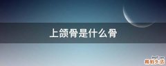 上颌骨是什么骨