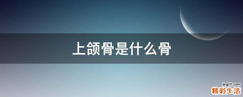 上颌骨是什么骨