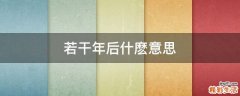 若干年后什麽意思