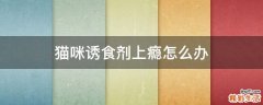 猫咪诱食剂上瘾怎么办