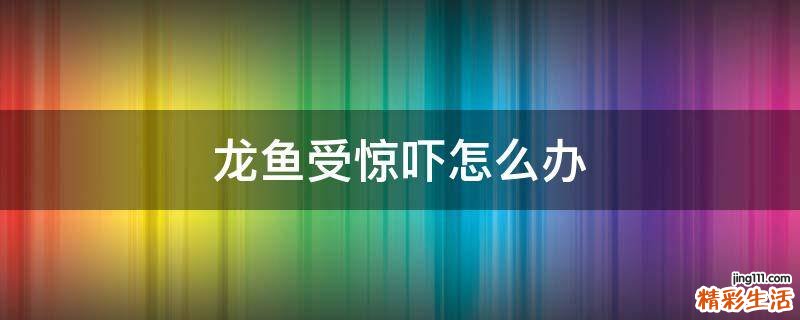 龙鱼受惊吓怎么办