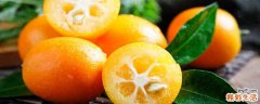 吃金桔是上火还是降火 金桔吃多了会有什么副作用