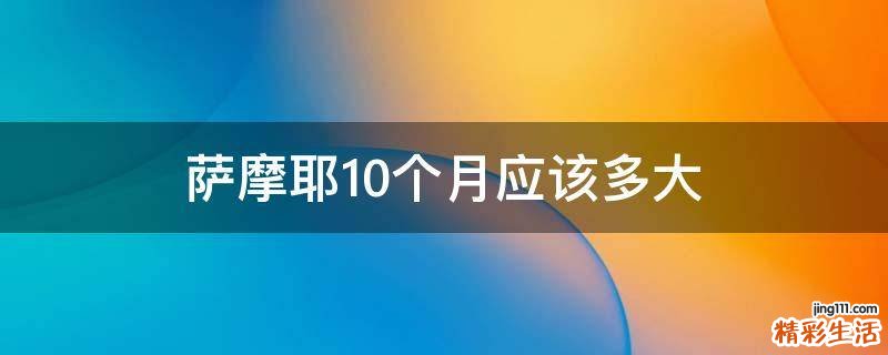 萨摩耶10个月应该多大