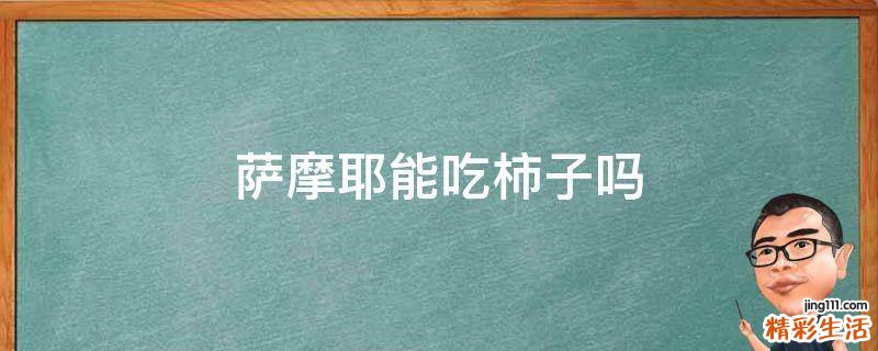 萨摩耶能吃柿子吗