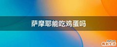 萨摩耶能吃鸡蛋吗