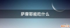 萨摩耶能吃什么