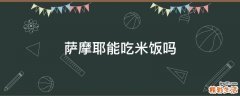 萨摩耶能吃米饭吗