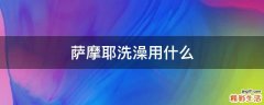 萨摩耶洗澡用什么