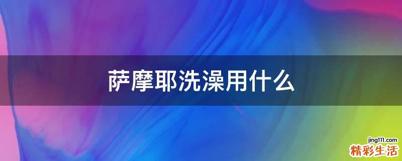 萨摩耶洗澡用什么