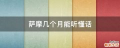 萨摩几个月能听懂话