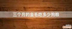 三个月的金毛吃多少狗粮