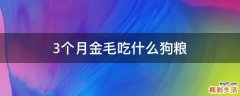 3个月金毛吃什么狗粮