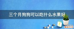 三个月狗狗可以吃什么水果好
