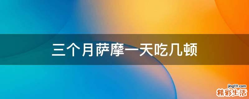 三个月萨摩一天吃几顿