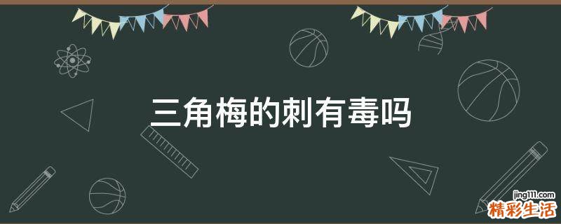 三角梅的刺有毒吗