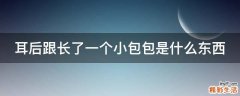 耳后跟长了一个小包包是什么东西