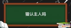 猫认主人吗