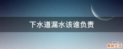 下水道漏水该谁负责