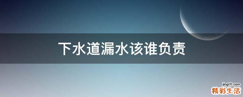下水道漏水该谁负责