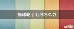 猫咪吃了毛线怎么办