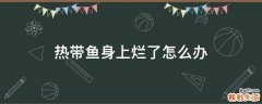 热带鱼身上烂了怎么办
