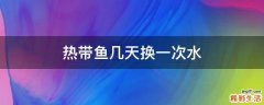 热带鱼几天换一次水