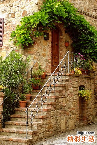 大脑发育不全，精神发育不全，精神发育迟滞，精神缺陷，精神幼稚，弱智，智力薄弱，智力残疾，智力迟缓，智力低下，智力发育障碍，智力落后 精神发育迟缓