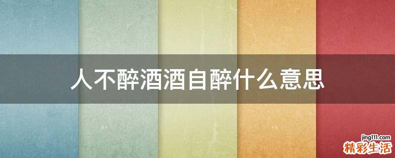 人不醉酒酒自醉什么意思