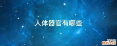 人体器官有哪些
