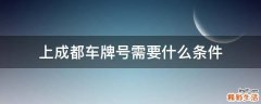 上成都车牌号需要什么条件