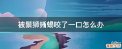 被鬃狮蜥蜴咬了一口怎么办