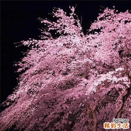 2 排毒的秘籍有哪些呢