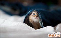 剖析眼袋的成因和治疗方法