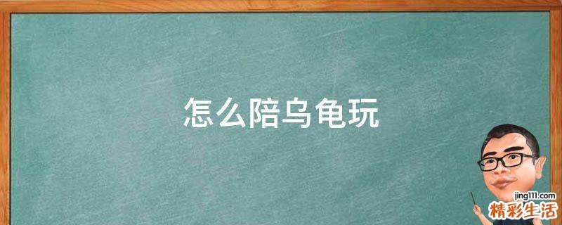 怎么陪乌龟玩
