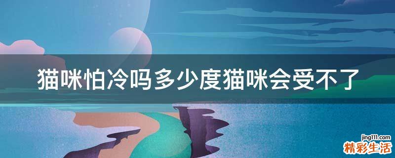 猫咪怕冷吗多少度猫咪会受不了