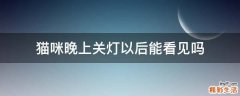 猫咪晚上关灯以后能看见吗