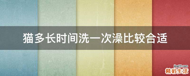 猫多长时间洗一次澡比较合适