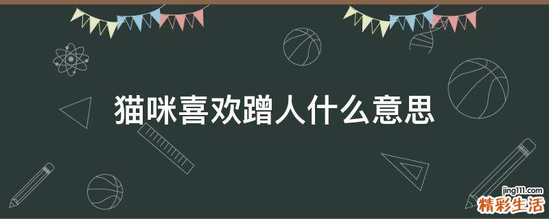 猫咪喜欢蹭人什么意思