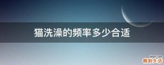 猫洗澡的频率多少合适